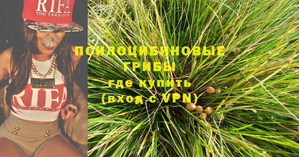 трава Заводоуковск