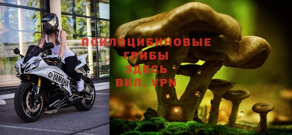 молекула духа Заволжск